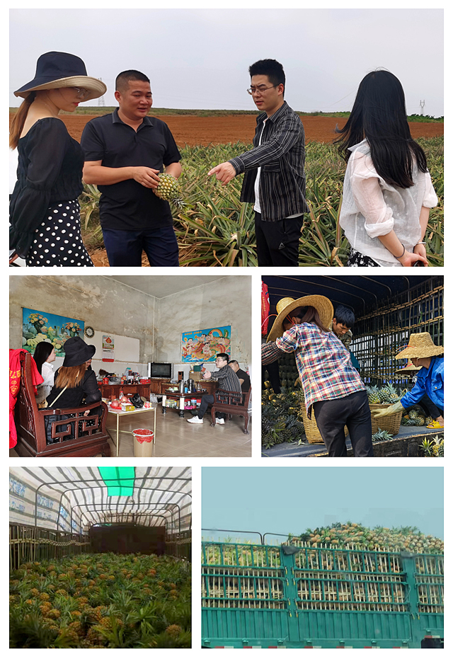 赏金船主·PG(中国游)官方网站