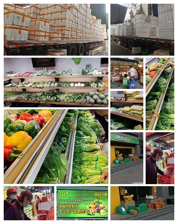 赏金船主·PG(中国游)官方网站