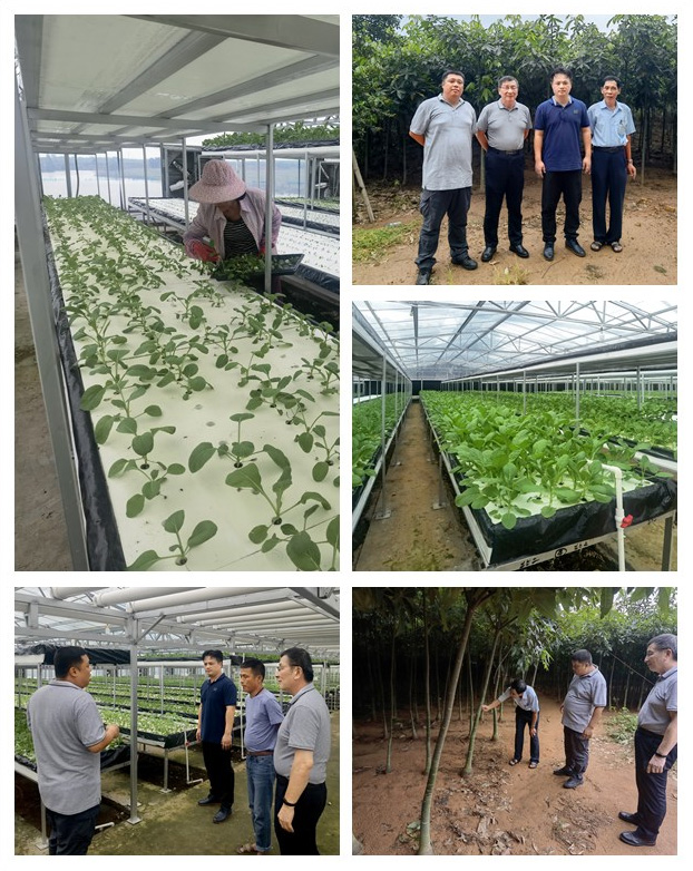 赏金船主·PG(中国游)官方网站