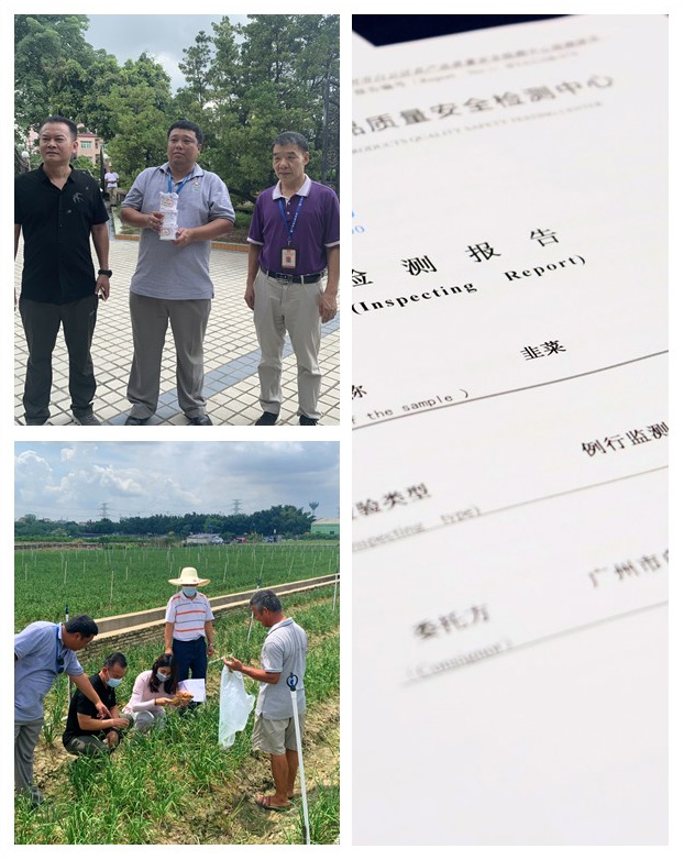 赏金船主·PG(中国游)官方网站