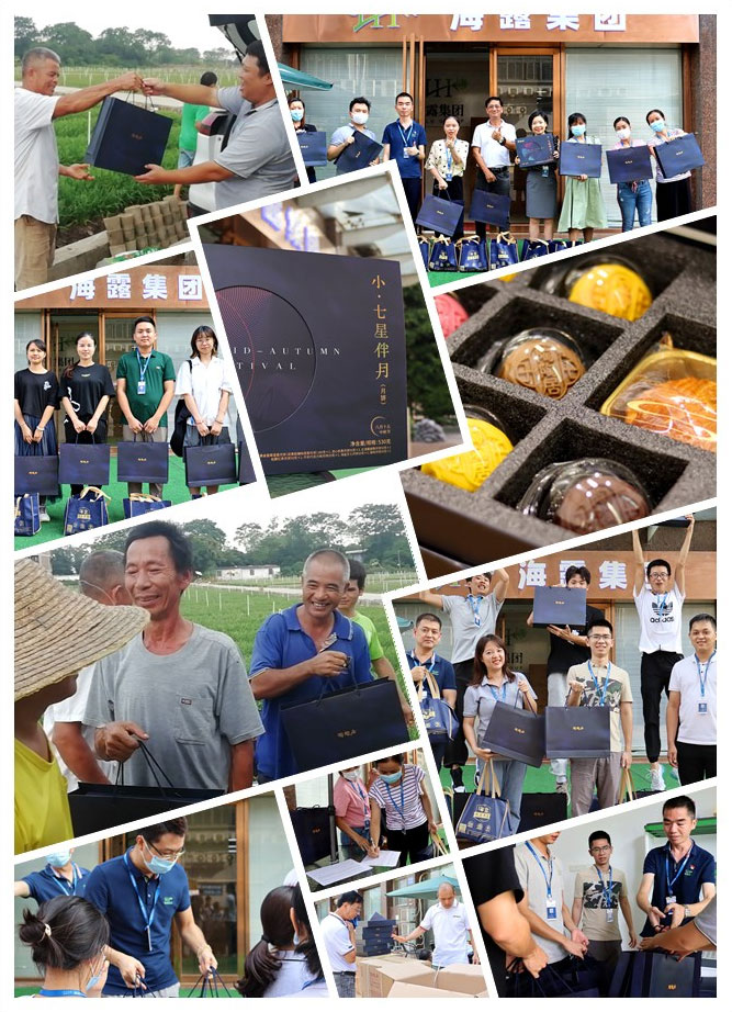 赏金船主·PG(中国游)官方网站