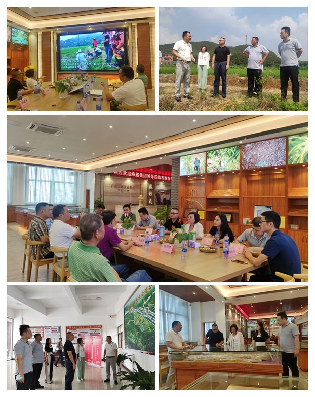 赏金船主·PG(中国游)官方网站