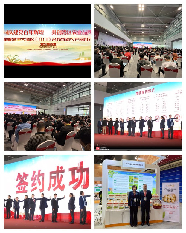 赏金船主·PG(中国游)官方网站