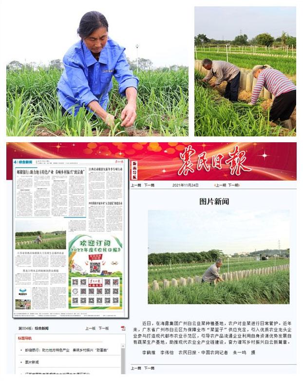 赏金船主·PG(中国游)官方网站