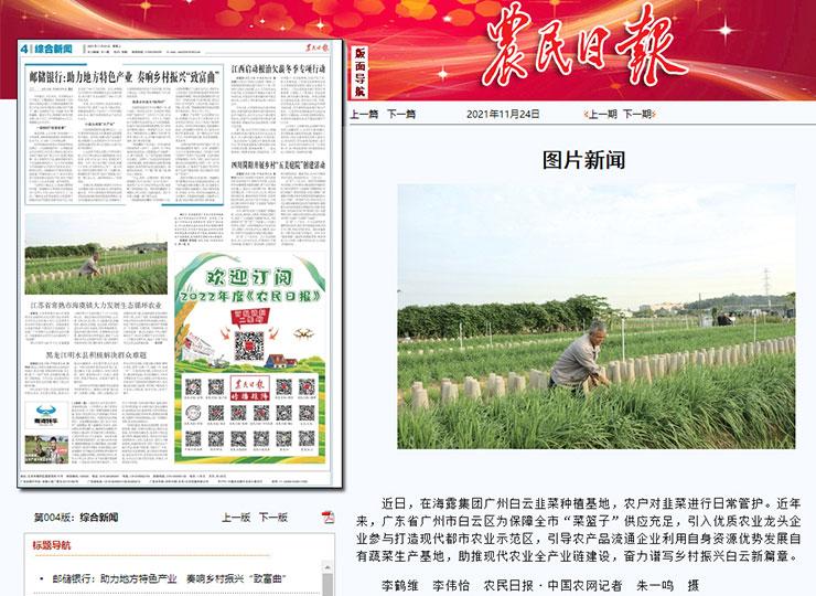 赏金船主·PG(中国游)官方网站