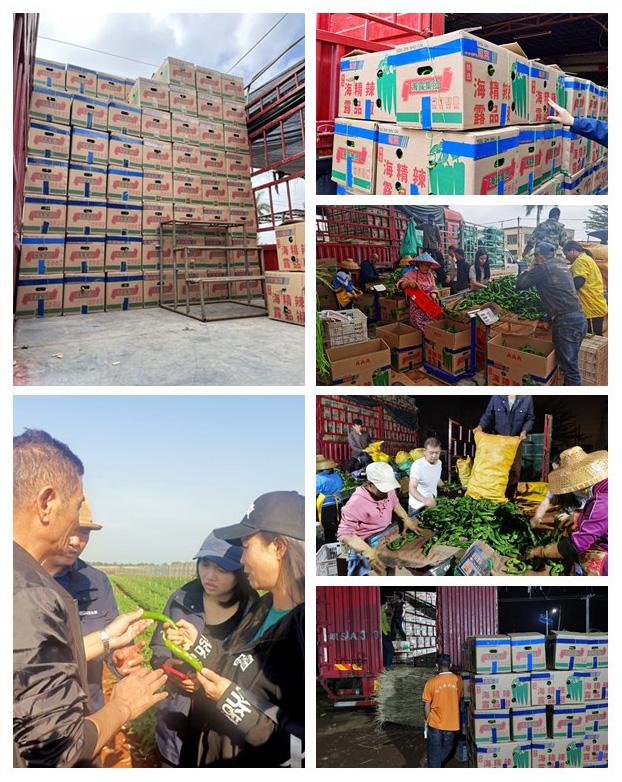 赏金船主·PG(中国游)官方网站