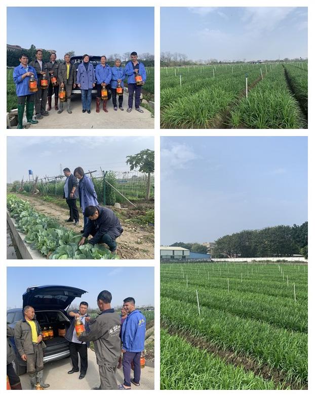 赏金船主·PG(中国游)官方网站