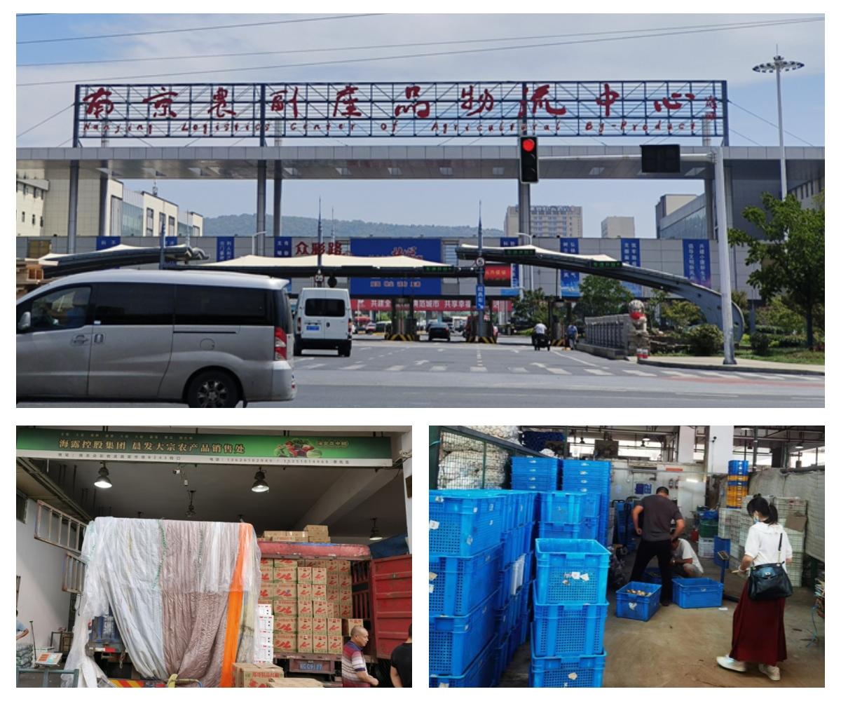 赏金船主·PG(中国游)官方网站