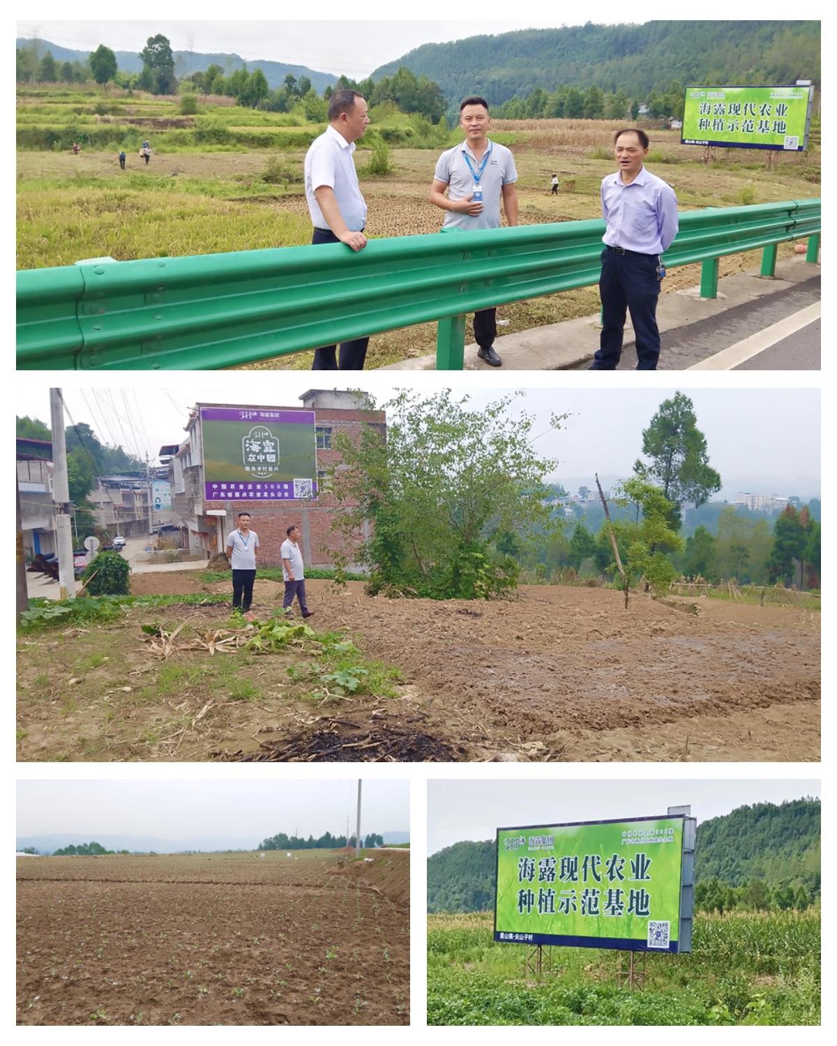 赏金船主·PG(中国游)官方网站