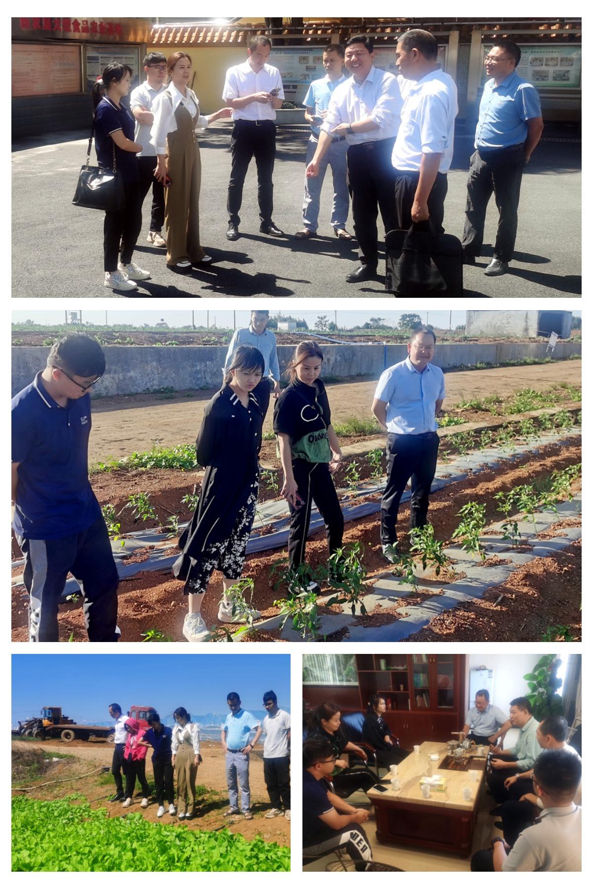 赏金船主·PG(中国游)官方网站