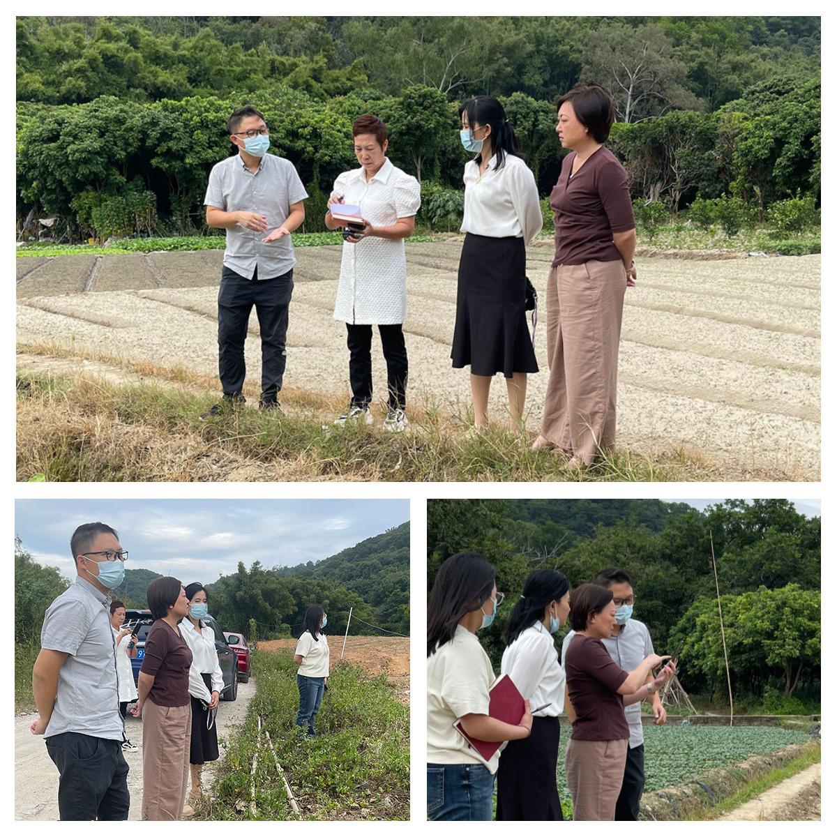 赏金船主·PG(中国游)官方网站