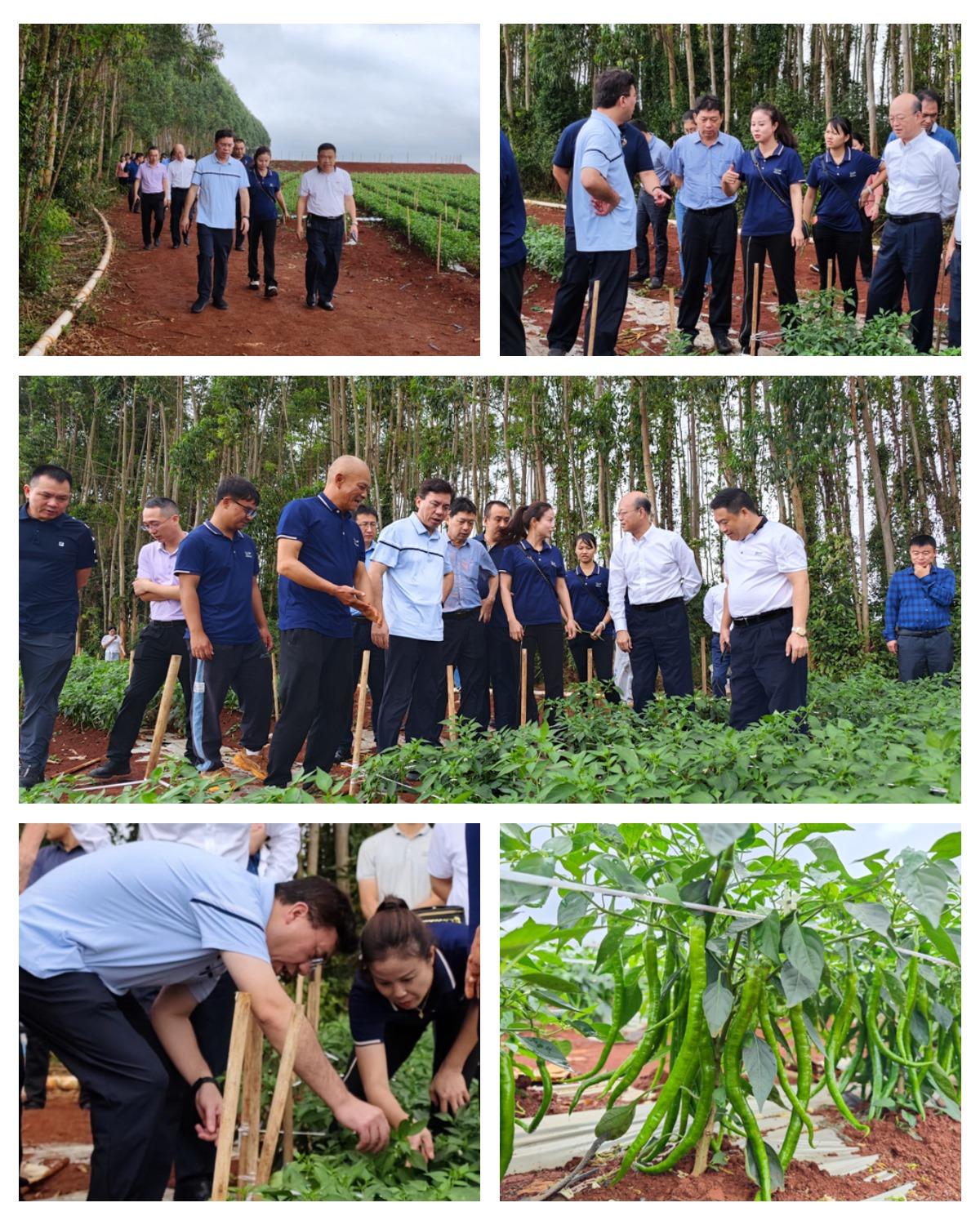 赏金船主·PG(中国游)官方网站