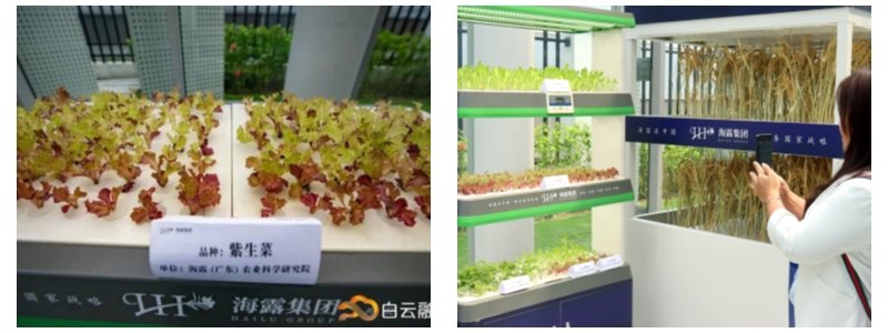 赏金船主·PG(中国游)官方网站