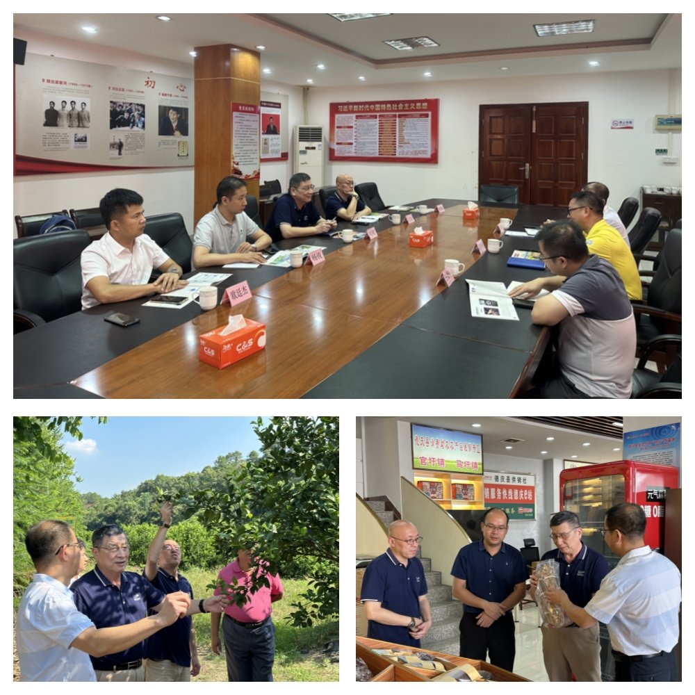 赏金船主·PG(中国游)官方网站