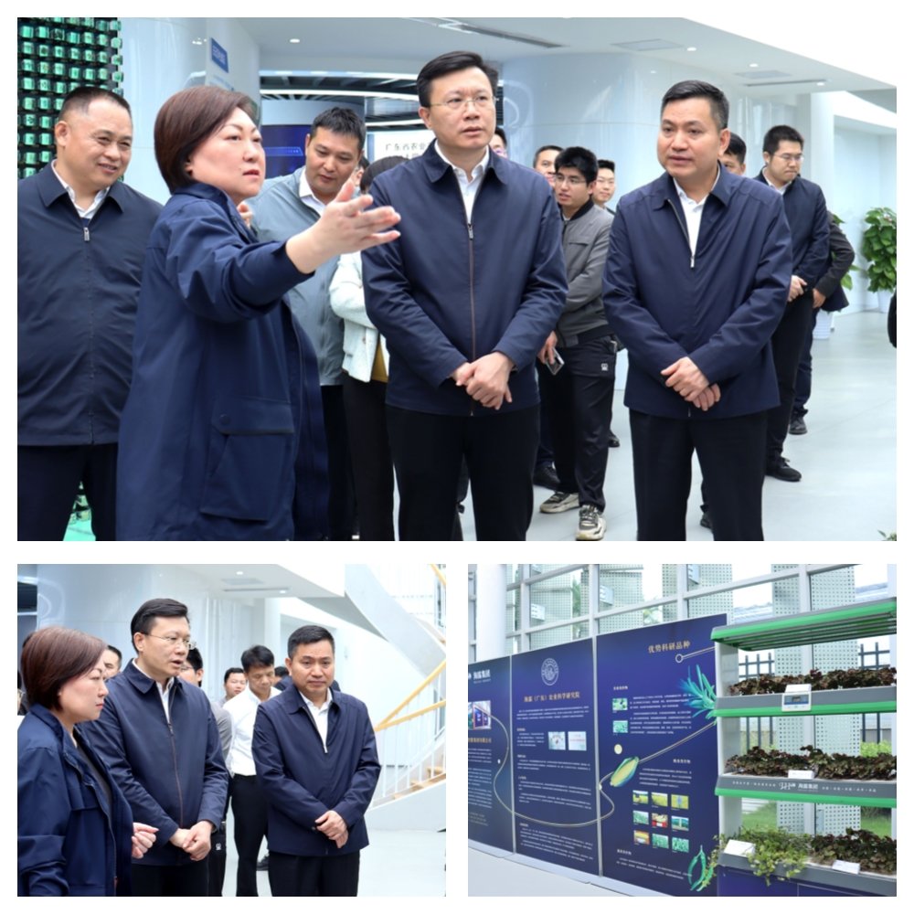 赏金船主·PG(中国游)官方网站