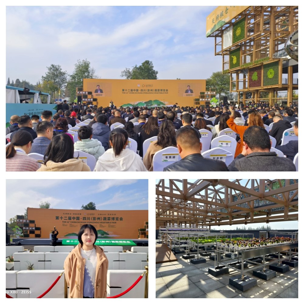 赏金船主·PG(中国游)官方网站