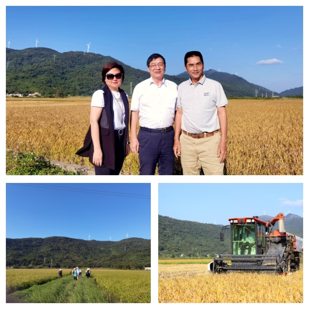 赏金船主·PG(中国游)官方网站