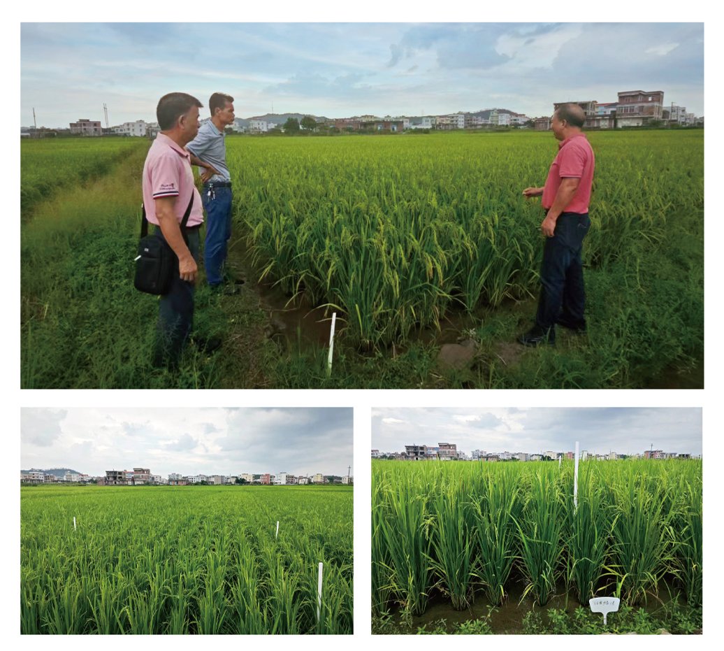 赏金船主·PG(中国游)官方网站