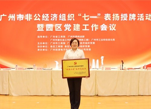 标杆引领，荣誉升级！集团党支部荣膺广州市非公有造经济组织“双强六好”标
