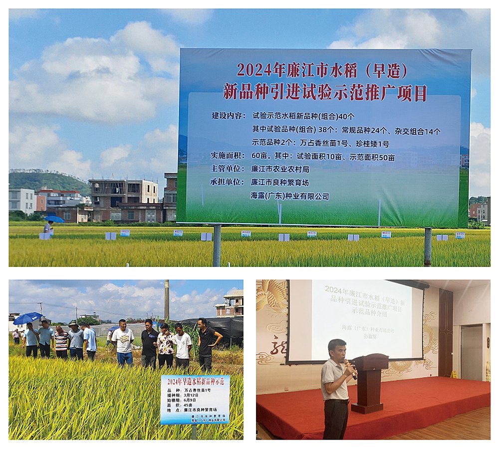 赏金船主·PG(中国游)官方网站