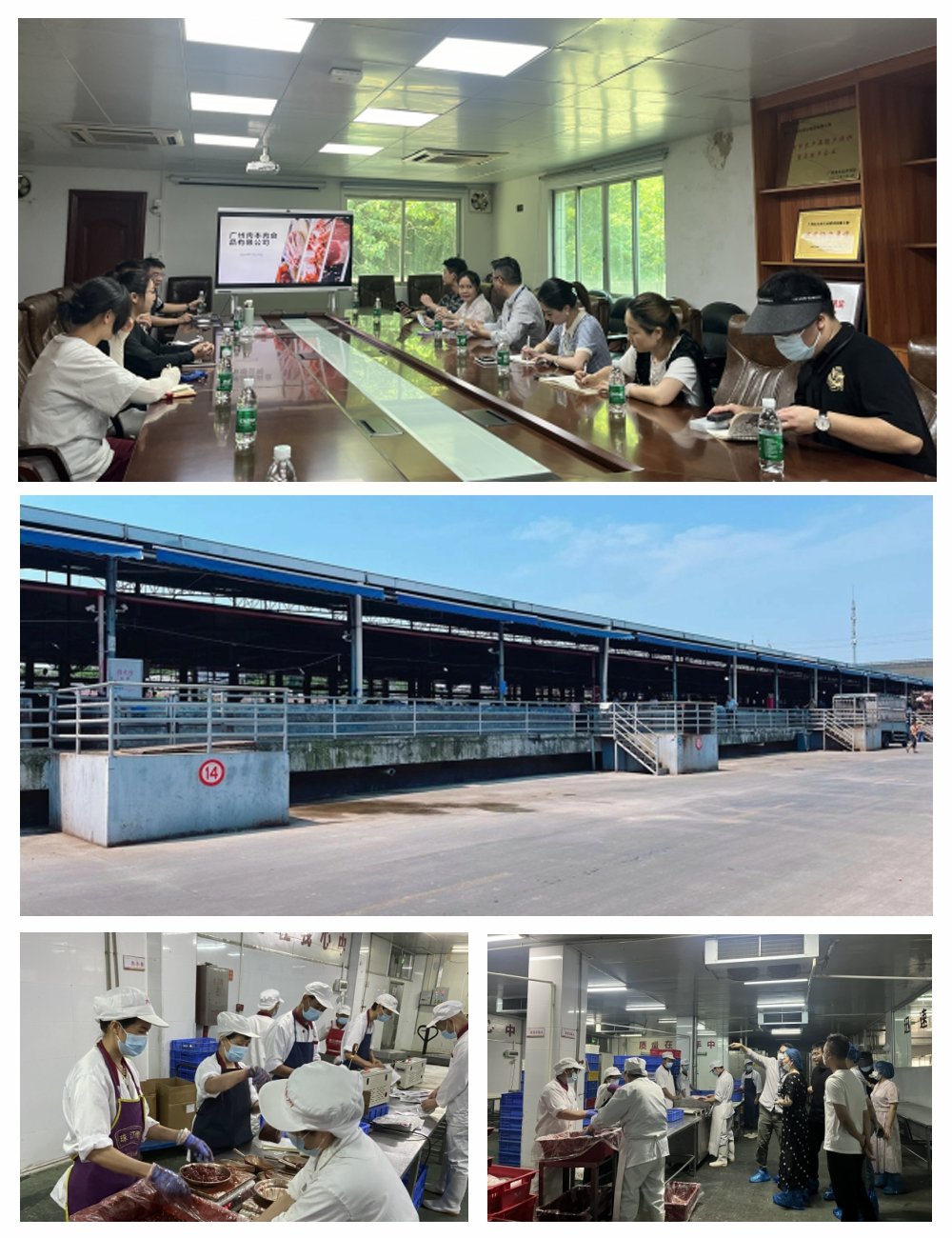 赏金船主·PG(中国游)官方网站