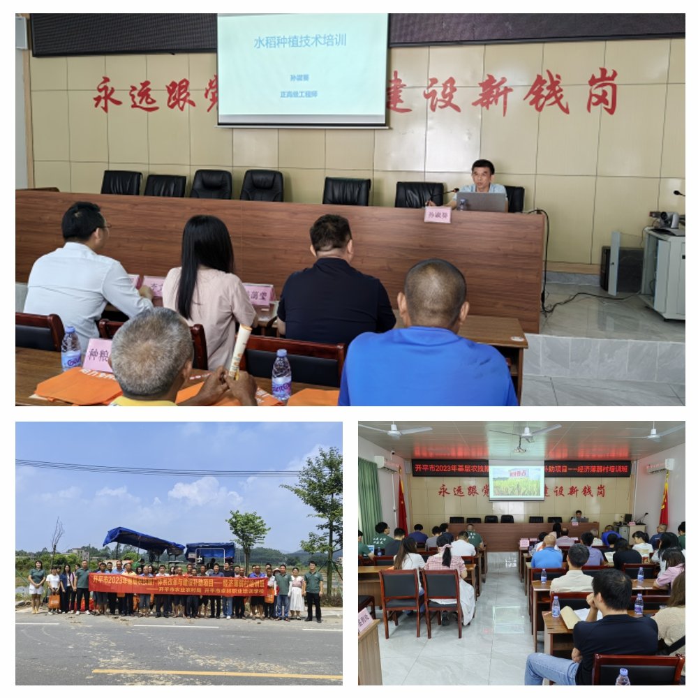 赏金船主·PG(中国游)官方网站