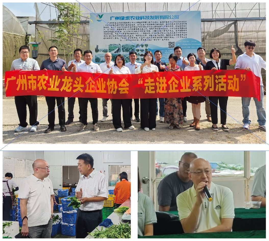 赏金船主·PG(中国游)官方网站