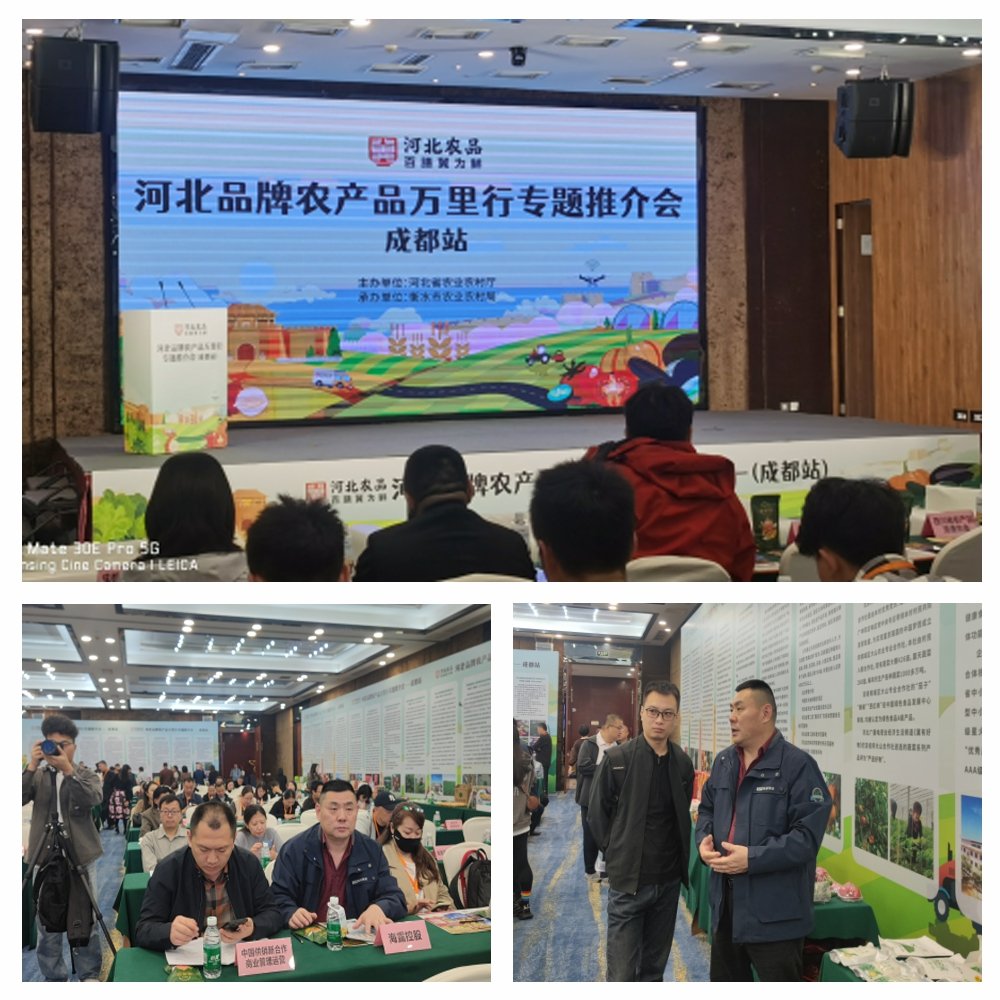 赏金船主·PG(中国游)官方网站