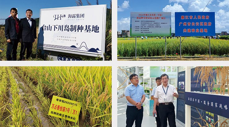 赏金船主·PG(中国游)官方网站