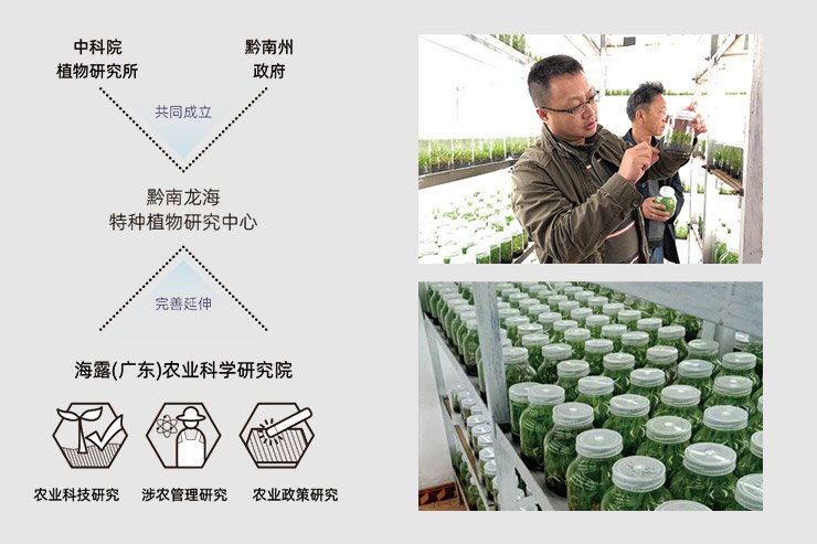 赏金船主·PG(中国游)官方网站