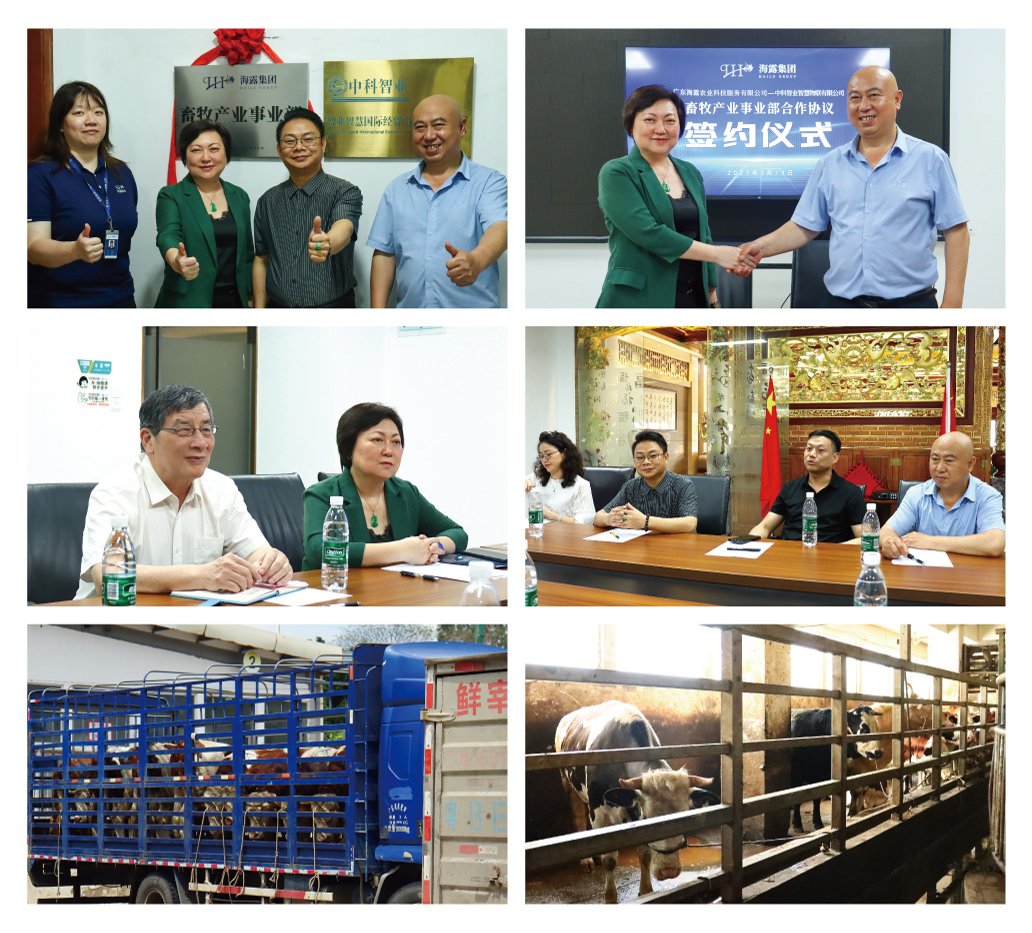 赏金船主·PG(中国游)官方网站