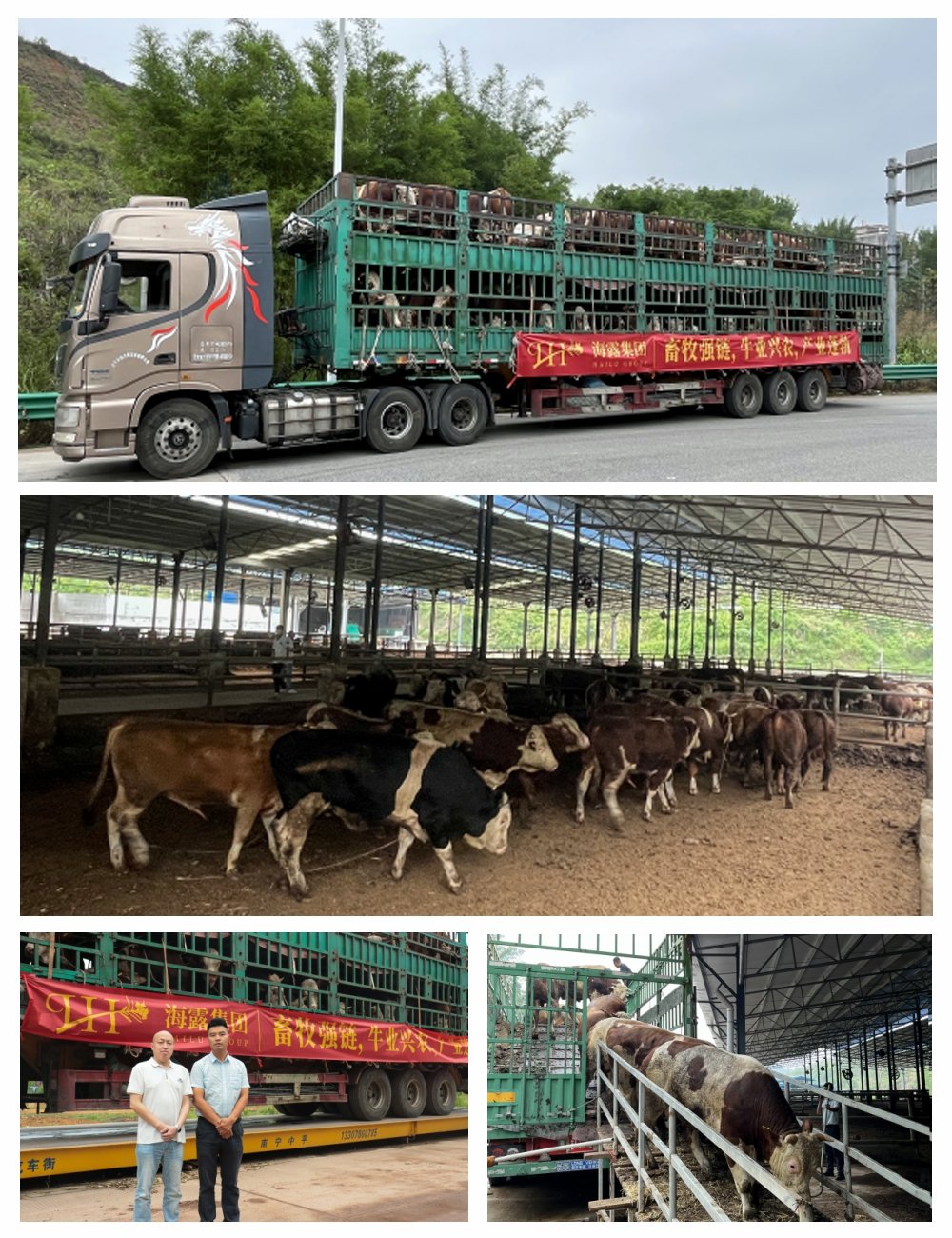 赏金船主·PG(中国游)官方网站