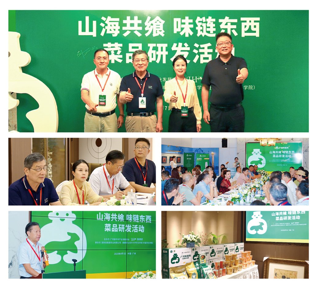 赏金船主·PG(中国游)官方网站