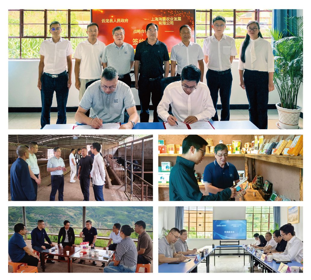 赏金船主·PG(中国游)官方网站