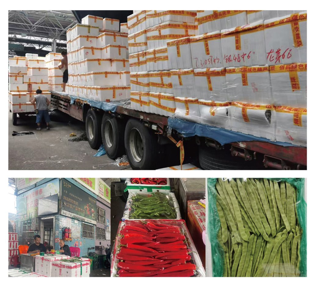 赏金船主·PG(中国游)官方网站